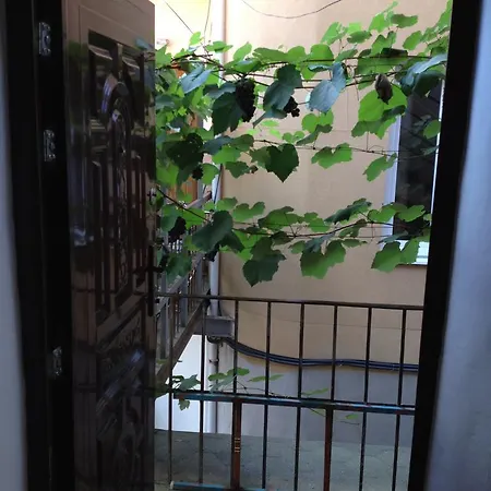 Downtown * Mukačevo